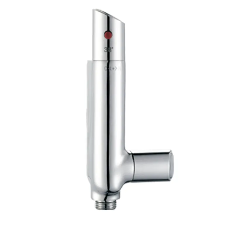 Brass Wall Mounted Thermostatic Shower Bidet Mixer in Chrome Plating