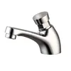 Self Closed Time Lapse Push Handle Basin Faucet